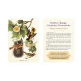 The Spiritual Meaning of Birds Oracle Deck: Discover the Wisdom & Insight of These Divine Winged Messengers