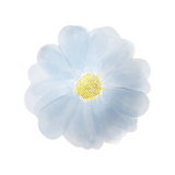 Meri Meri Flower Garden Small Plates