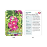 The Flower Garden Deck: 50 Flower Care Cards to Help You Plan, Plant, and Grow the Perfect Garden!