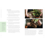 How to Make Your Houseplants Love You: Expert Answers for Plant Parents