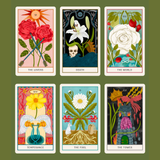 Floral Tarot: Access the Wisdom of Flowers: 78-Card Deck and Guidebook