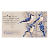 'Birding For Babies' Backyard Birds Book - A Numbers Book