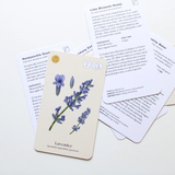 Wild Alchemy Lab: An Astro-botanical Remedy Deck