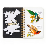 Salty Birds: A Sticker Book