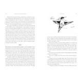 Birding to Change the World: A Memoir