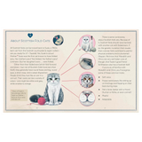 Karma Is a Cat: The True Stories of Meredith Grey, Olivia Benson, and Benjamin Button Swift