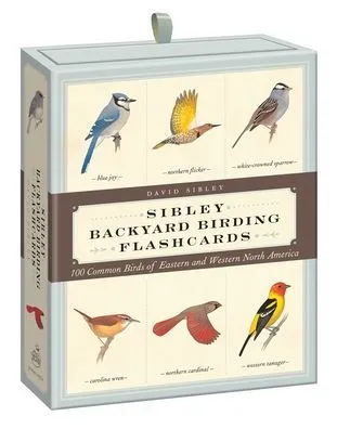 Sibly Backyard Birding Flashcards