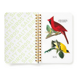 Salty Birds: A Sticker Book