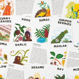 The Spice Box: Taste New Worlds