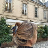 Hand-painted Swallow Bird Claw Hair Clip