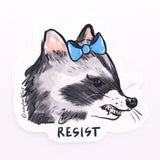 Resistance Raccoon - Sticker