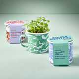 Altered Herbs Mug Grow Kits