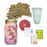 Modern Sprout Hydroponic Garden Jar