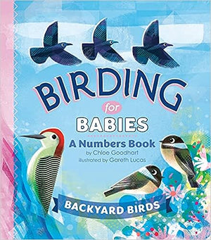 Birding For Babies Book