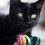 Spring Eco Toy - Assorted Colors