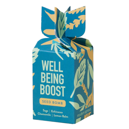 Seed Bomb - Well Being Boost