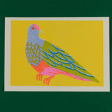 Fruit Dove Mini Riso Print