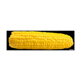 Ear of Corn Bumper Magnet