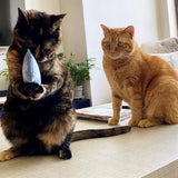 Dr. Pussums Catnip Logo Pillow Toy