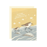 Sandpiper Reflection Baby Card