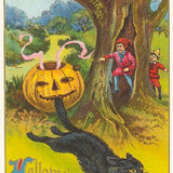 Found Image Press Postcard - Jack O'Lantern Cat Tail