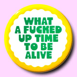 What a Fucked Up Time To Be Alive Magnet