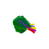 Jenny Lemons Mini Rainbow Chard Hair Claw Clip