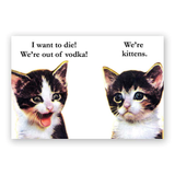 mincing mockingbird magnet vodka kittens