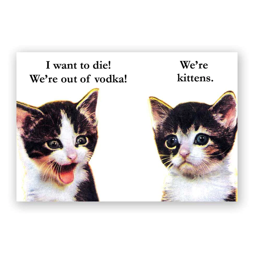 mincing mockingbird magnet vodka kittens