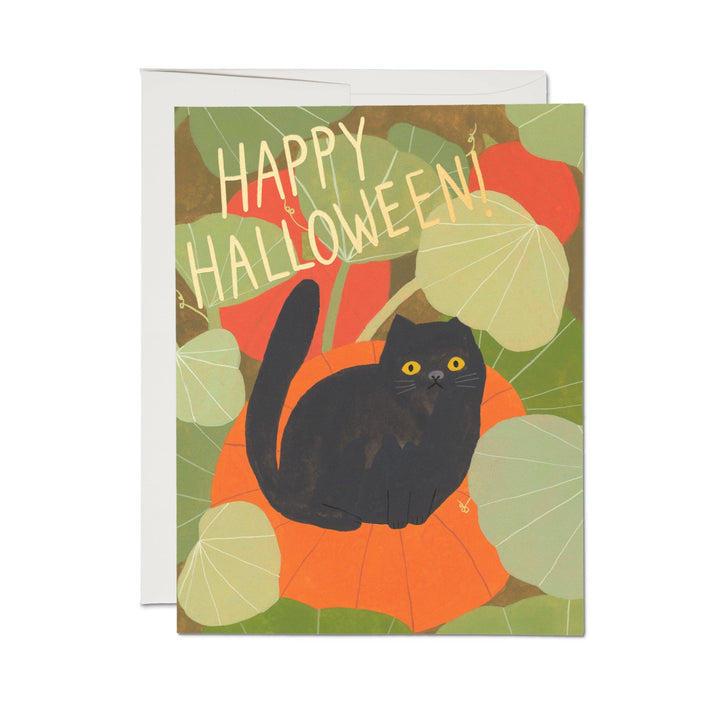 Happy Halloween Kitten Greeting Card