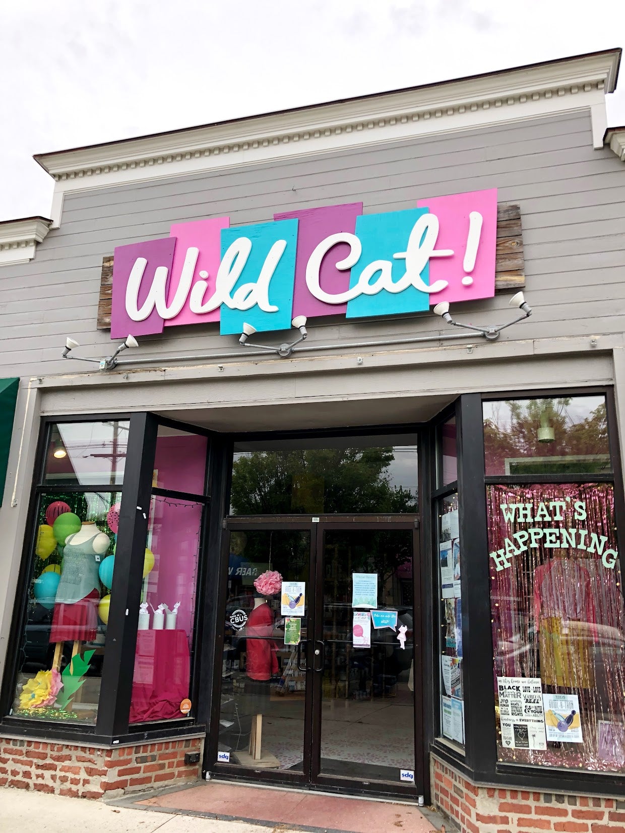 Wild Cat Gift and Party | Visit Us!