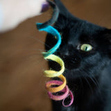Spring Eco Toy - Assorted Colors