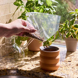 Tiny Terracotta Grow Kits
