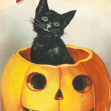 Found Image Press Postcard - Merry Halloween Cat/Jack'oLantern