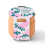 Tiny Terracotta Pet Grow Kits - Curious Catnip