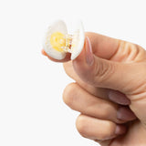 Jenny Lemons Micro Rise & Shine Hair Claw Clip Set