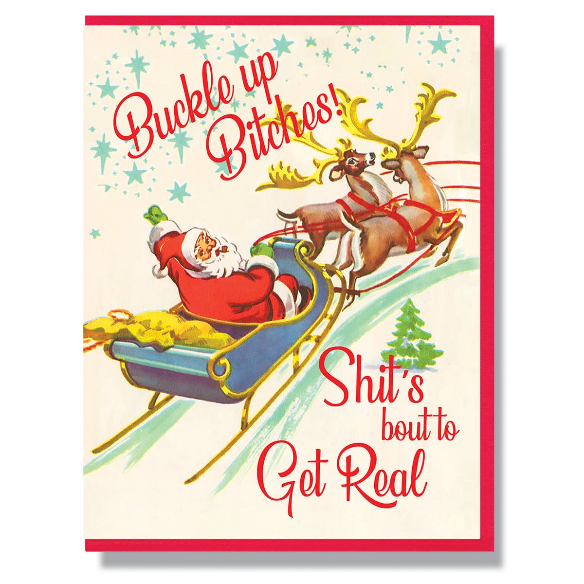Buckle Up Bitches! Shit's Bout To Get Real Holiday Card