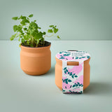 Tiny Terracotta Pet Grow Kits - Curious Catnip