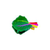 Jenny Lemons Mini Rainbow Chard Hair Claw Clip