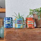 Holiday Complimentary Colors Grow Kits