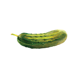 Pickle Temporary Tattoo - Set of 2