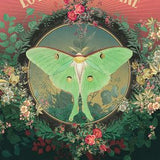 Love Who You Are Oracle Deck