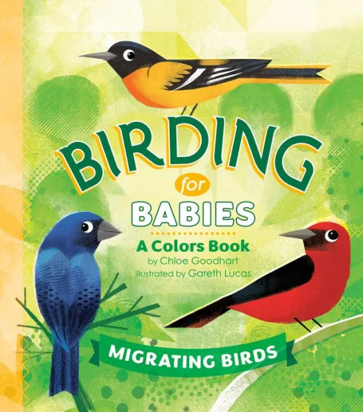 Birding for Babies Book 