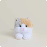Warmies Junior -  Calico Cat