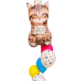 Catfetti Balloon Bundle