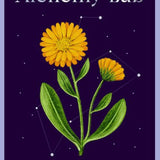 Wild Alchemy Lab: An Astro-botanical Remedy Deck