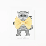 Anything is Pastable - Friendship Card