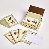 Sibley Backyard Birding Postcards