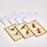 Sibley Backyard Birding Postcards