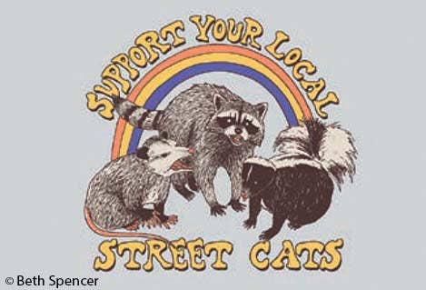 Magnet - Support your local street cats
